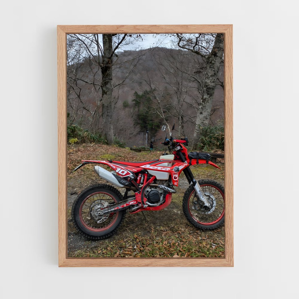 Poster Éblouissant RR-S – affiche Beta (vue 4)